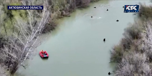 Пропавший мальчик найден мёртвым