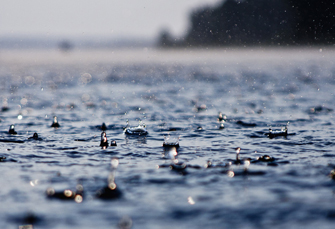 В середине недели в Актобе ожидаются дожди