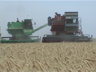 Өңір шаруалары егіс науқанына дайындалып жатыр