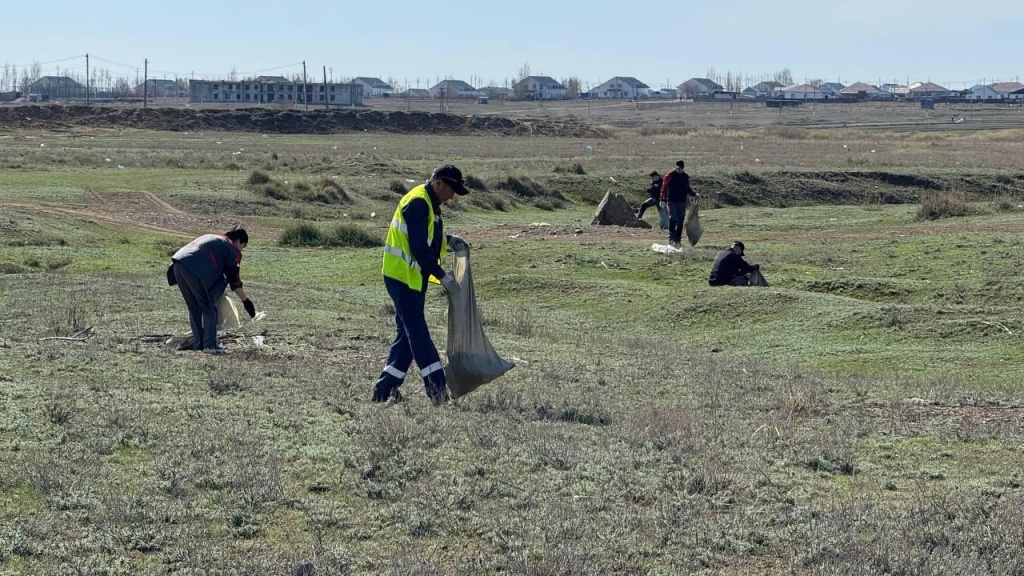 основное (34).jpg