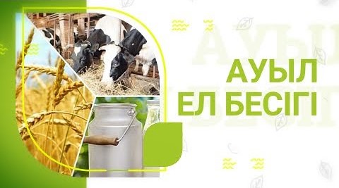 ауыл аманат.jpg