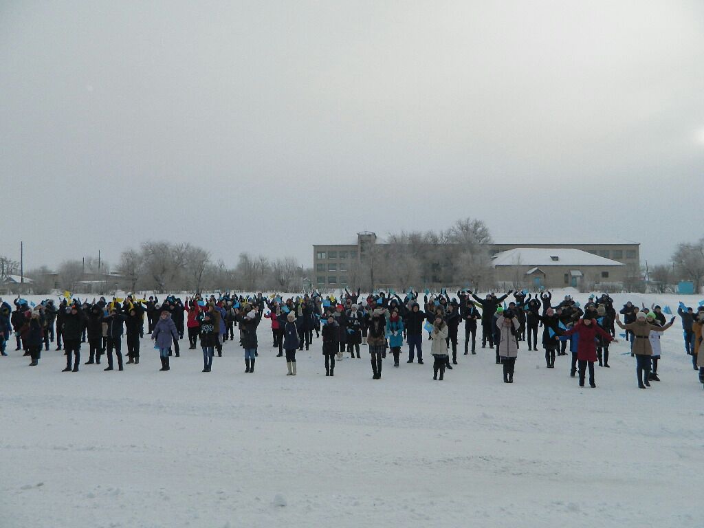 IMG-20170112-WA0008.jpg IMG-20170112-WA0008.jpg