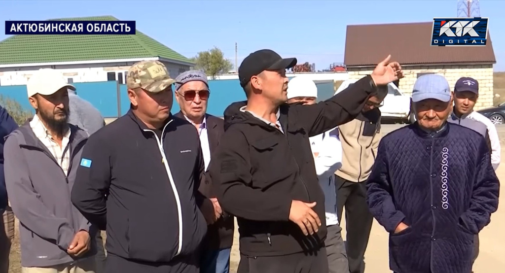 телята.jpg телята.jpg