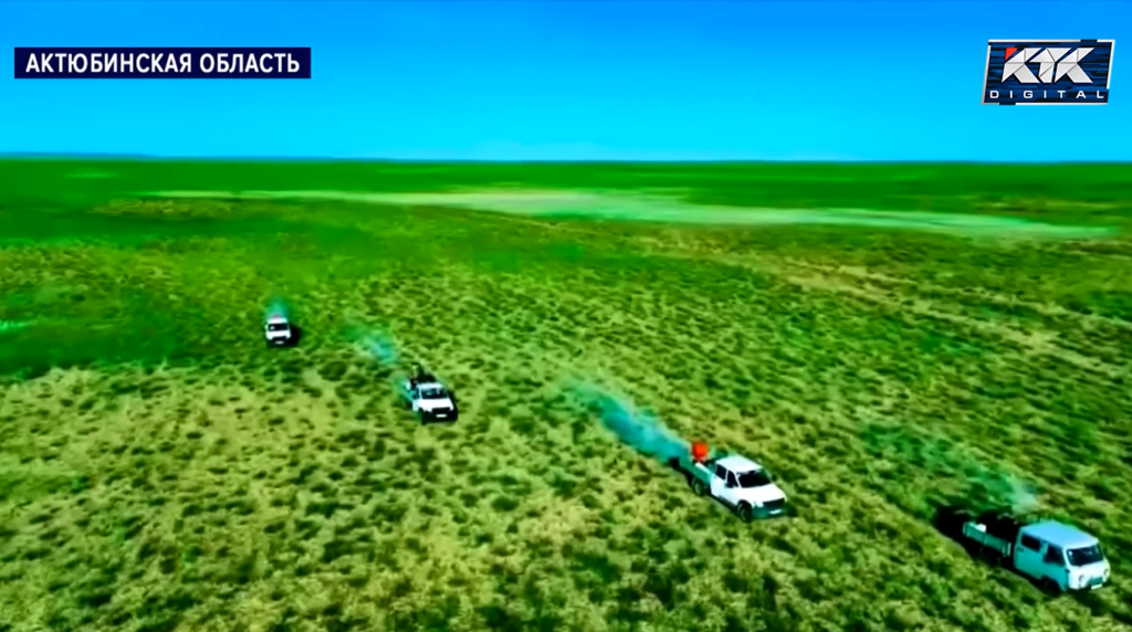 саранча.png саранча.png