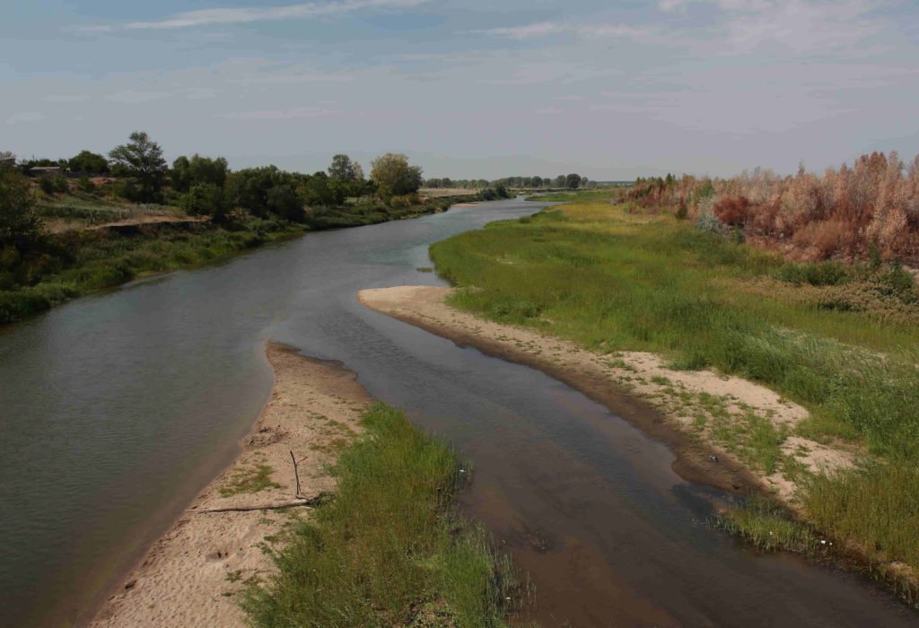 утонули.jpg утонули.jpg