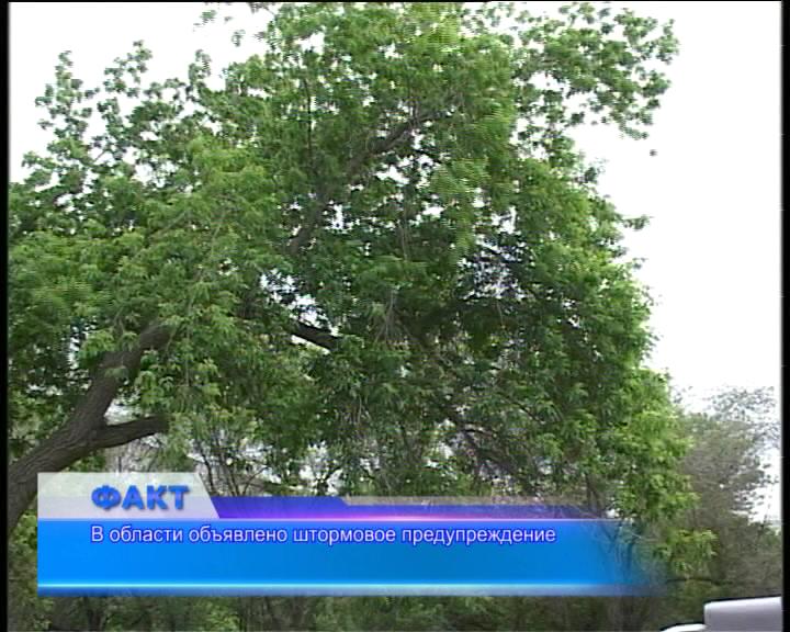 В области объявлено штормовое предупреждение!