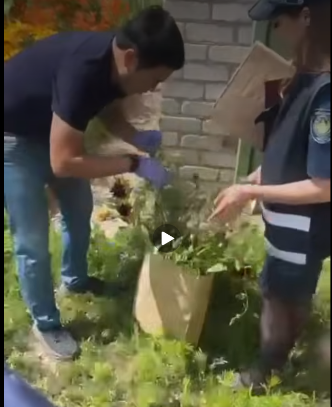 Снимок экрана 2026-07-03 104233.png