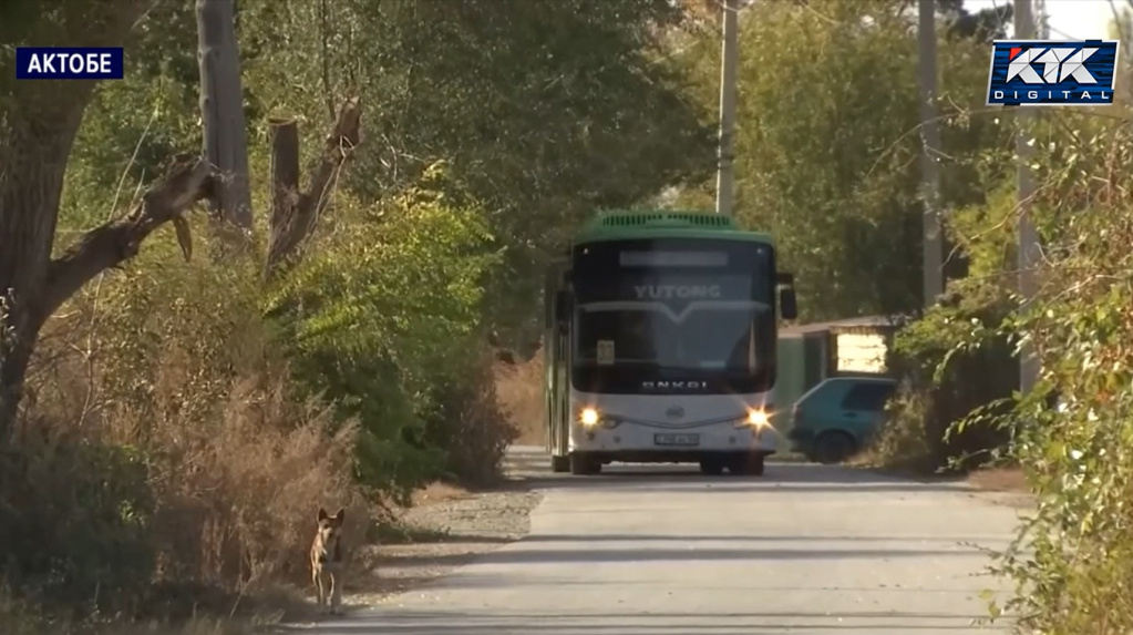 кривое озеро.jpg