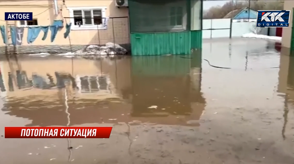 основное (1).png