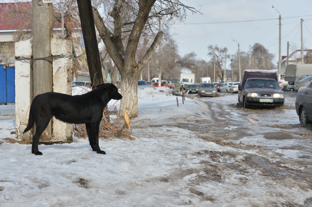 Бердыбек Сапарбаев поручил разработать проект комплексной системы водоотвода г. Актобе