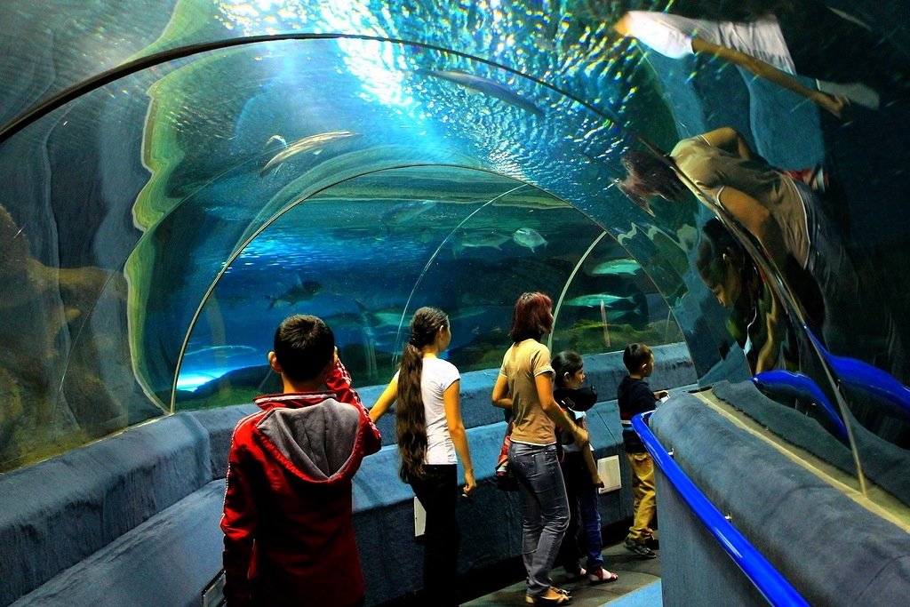океанариум астана.jpg
