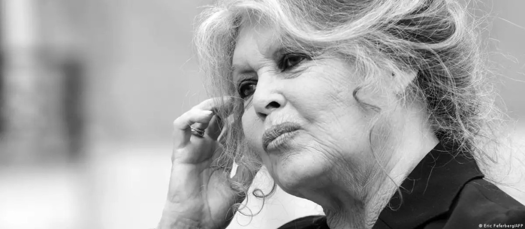 брижит бардо.jpg брижит бардо.jpg