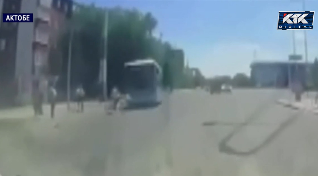 сбил.jpg сбил.jpg