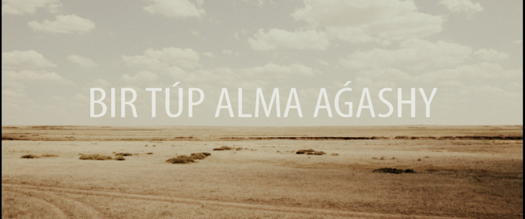 WhatsApp Image 2026-02-02 at 17.21.24.jpeg