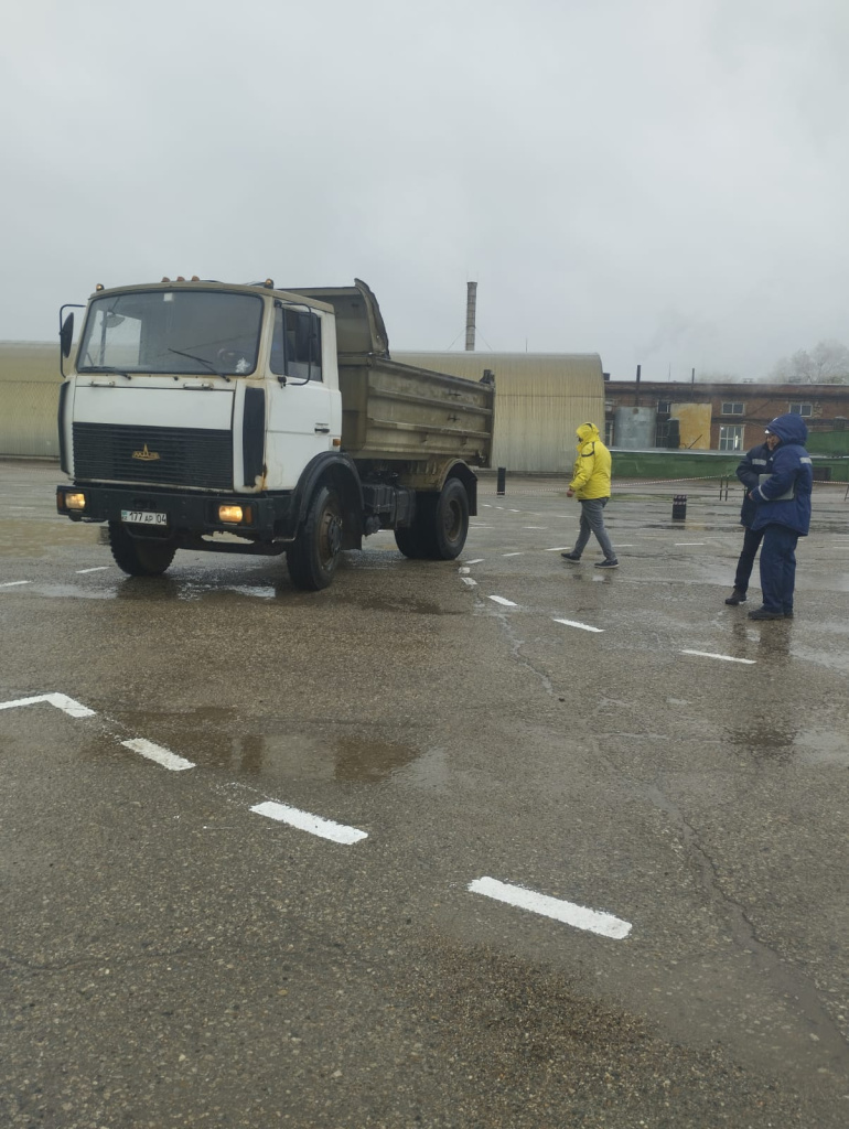 водители.jpeg